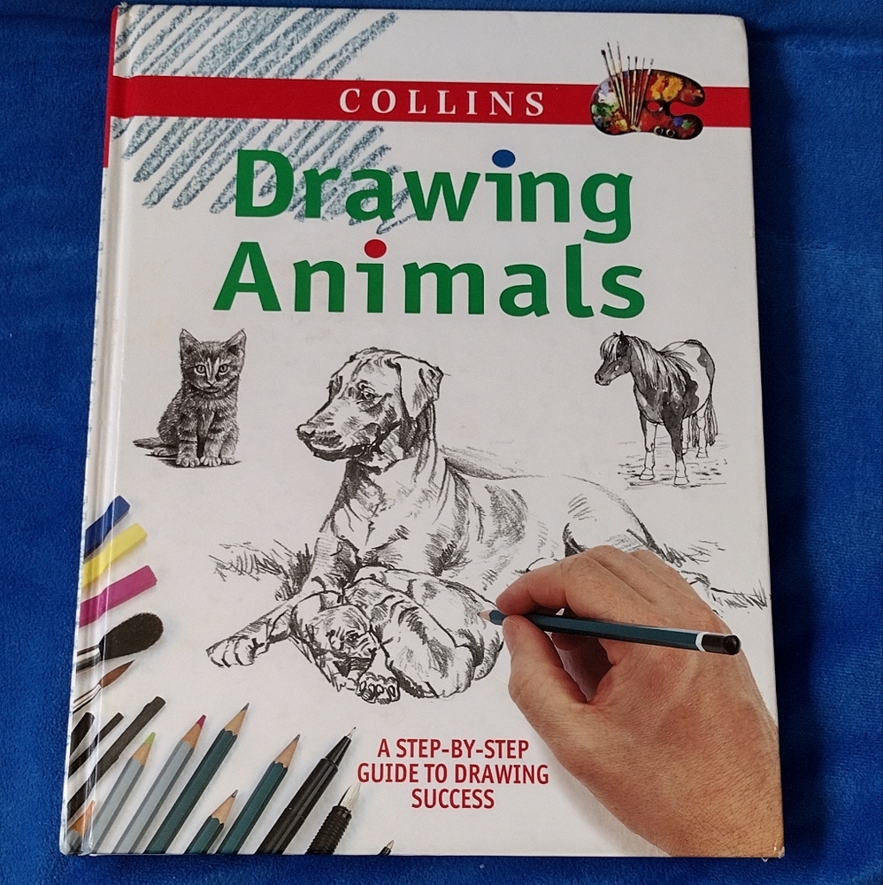 Drawing Animals - Picture 1 of 6